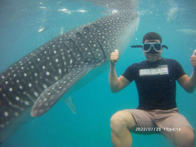 Cebu: WhaleShark , Tumalog Falls, & Sardine Run Snorkeling - Tumalog Falls and its cool curtain of water