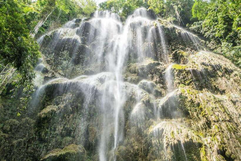 Cebu: WhaleShark , Tumalog Falls, & Sardine Run Snorkeling - The Moalboal sardine run