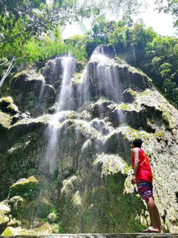 Cebu: WhaleShark , Tumalog Falls, & Sardine Run Snorkeling - What the $124 price really covers