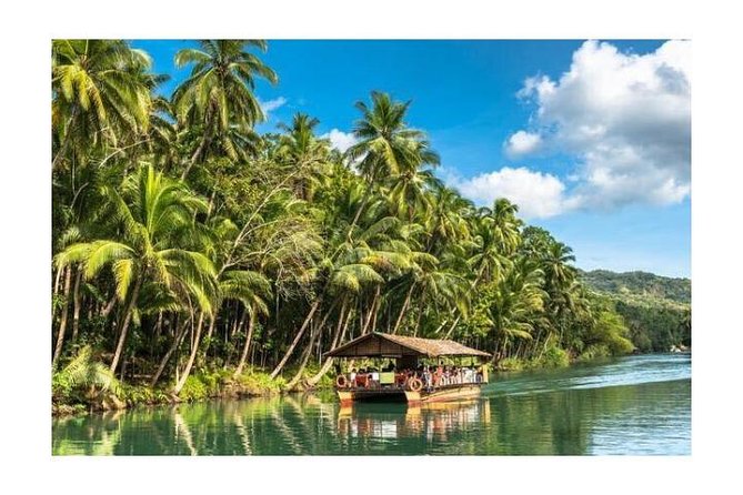 Chocolate hills tour with Tarsier & Loboc river Buffet Lunch (half-day tour) - Chocolate Hills: Bohol’s oddest natural sight