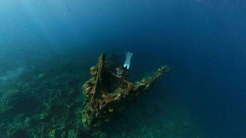 Coron: Barracuda Lake and Reef Garden Tour with Lunch - A full day among Coron’s cliffs and clear water