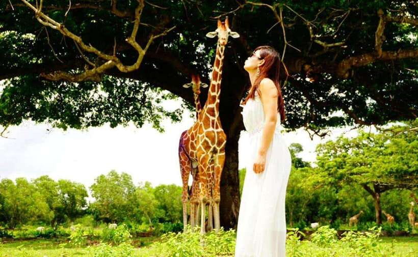 Coron: Calauit Safari Black Island Lunch & Transfer included - Why this unusual Coron day trip appeals