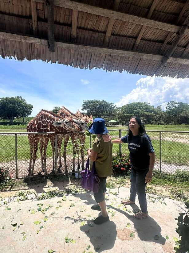 Coron: Calauit Safari Black Island Lunch & Transfer included - Who should choose this tour