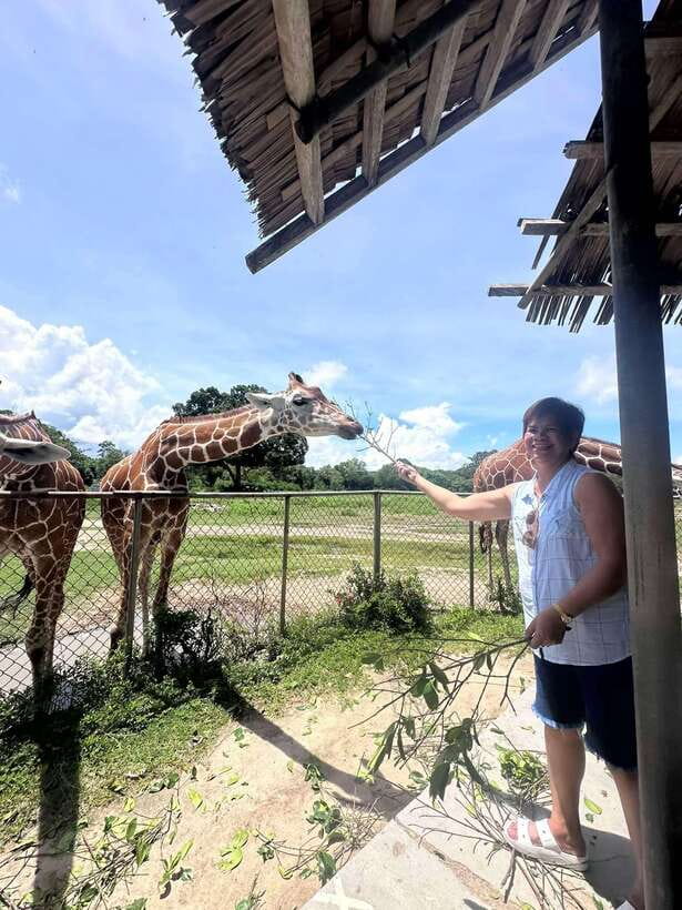 Coron: Calauit Safari Black Island Lunch & Transfer included - FAQ