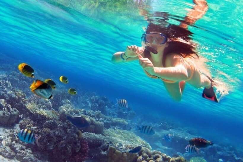 Coron: Coastal Cliffs, Beach & Malcapuya Island Hopping Tour - Key points to know before you book