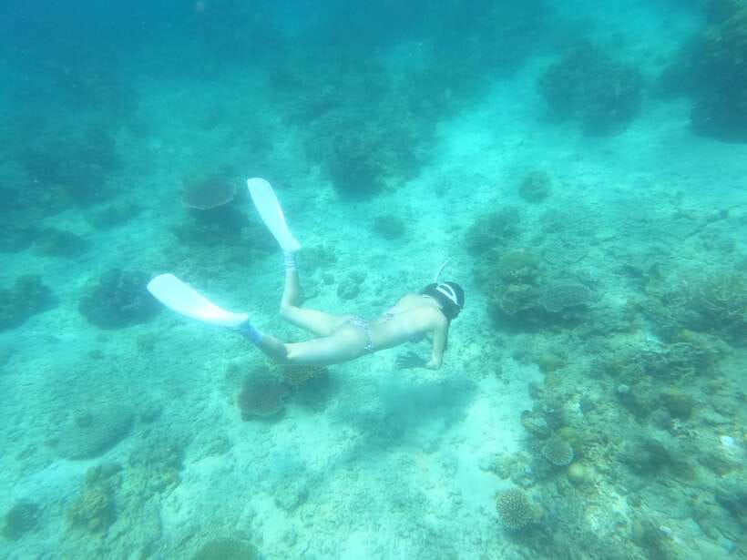 Coron: Dugong Watching with Sea Turtle and Coral Garden tour - Key points to know before booking