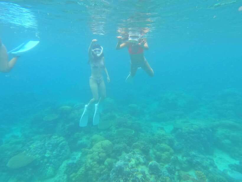 Coron: Dugong Watching with Sea Turtle and Coral Garden tour - Waiting your turn at the dugong site