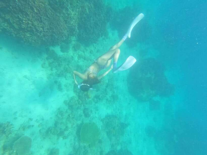 Coron: Dugong Watching with Sea Turtle and Coral Garden tour - Who should book this day out