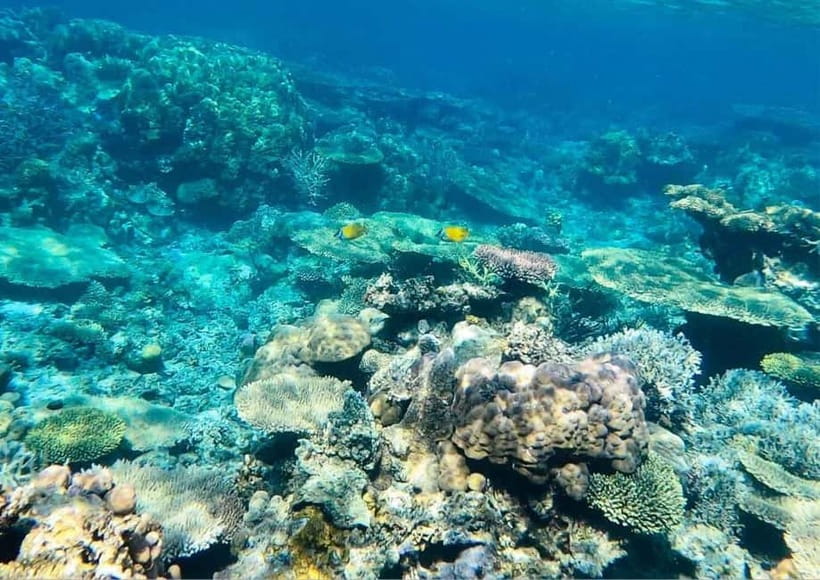 Coron: Island Tour B - Barracuda Lake and its strange water