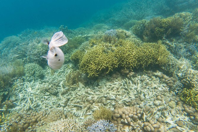 Coron Island Tour B (Private) - Who will enjoy Tour B most