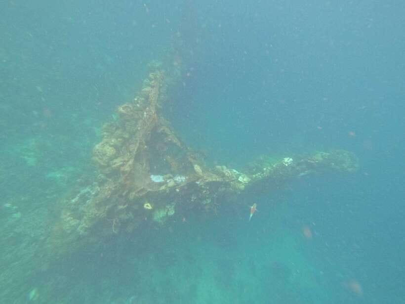 Coron: Kayangan Lake, Twin Lagoon, and Siete Pecados Tour - Skeleton Wreck: a shallow underwater look