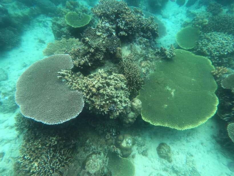 Coron: Kayangan Lake, Twin Lagoon, and Siete Pecados Tour - CYC Beach and the final swim