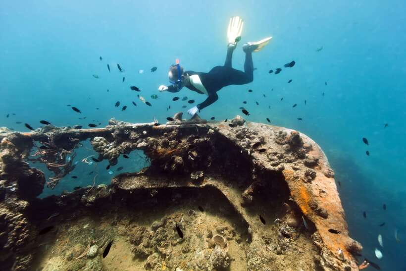 Coron Private Tour D: Reef and Wrecks - East Tangat Wreck and its shallow wartime setting