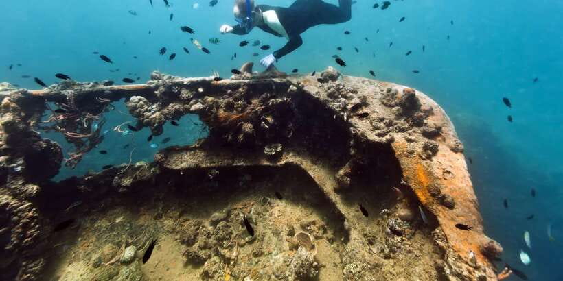 Coron Private Tour D: Reef and Wrecks - Lunch, drinks, and what is really included