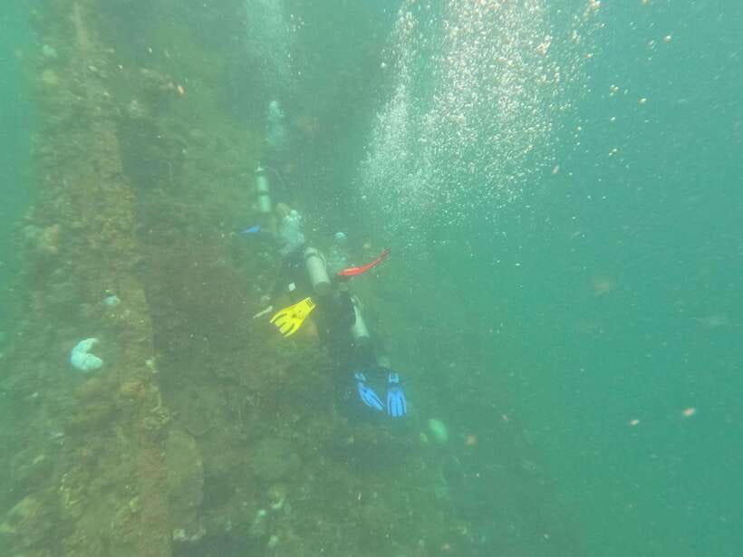 CORON:REEF AND WRECK - 2 JAPANESE WRECK AND PASS ISLAND TOUR - Lusong Coral Garden and the moving water