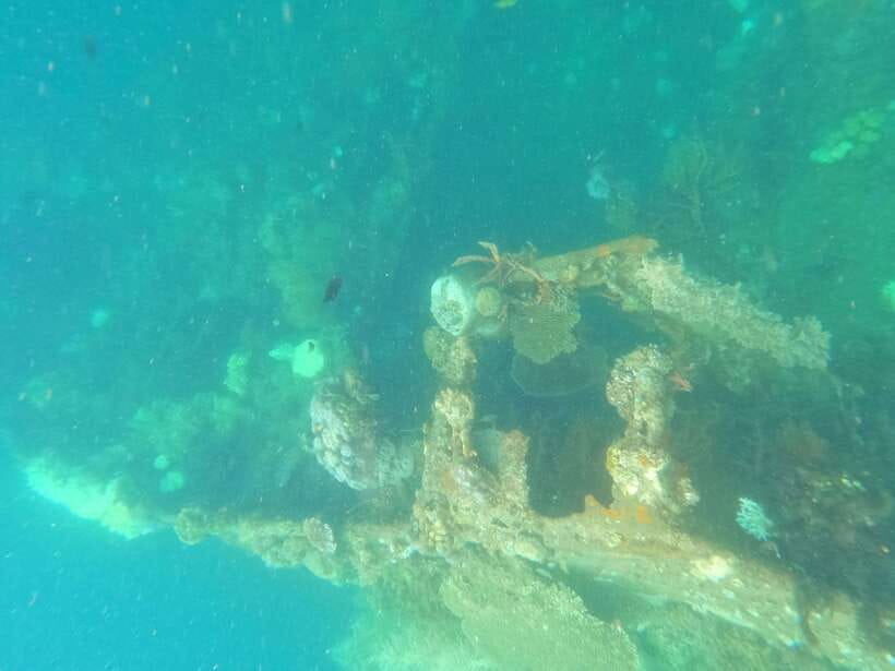 CORON:REEF AND WRECK - 2 JAPANESE WRECK AND PASS ISLAND TOUR - Who will enjoy this Coron trip most