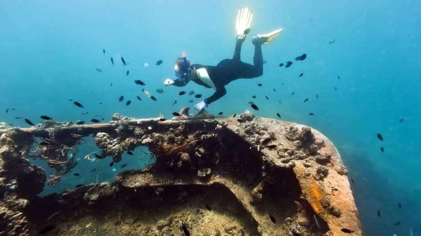 Coron Reef and Wrecks Tour (Private Tour) - Why this Coron tour is different