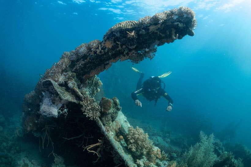 Coron Reef and Wrecks Tour (Private Tour) - Pass Island brings a quiet first or last stop