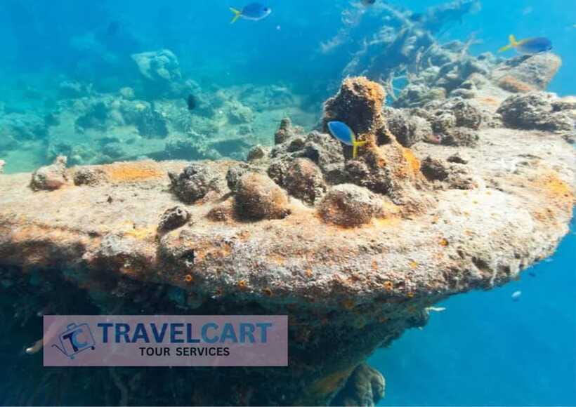 Coron Reef & Wrecks Tour - Lusong Gunboat connects coral with wartime history