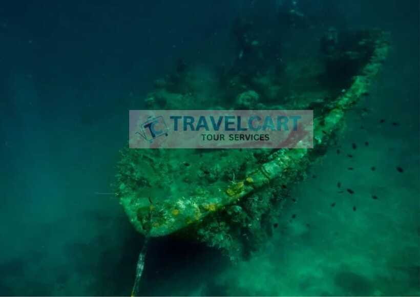 Coron Reef & Wrecks Tour - East Tangat Wreck adds a second historic site