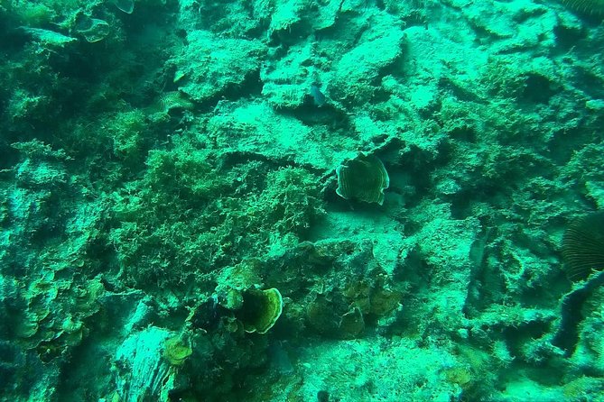 Coron Reefs & Wreck Tour (Shared Tour) - Seeing the Lusong Gunboat Wreck from the surface