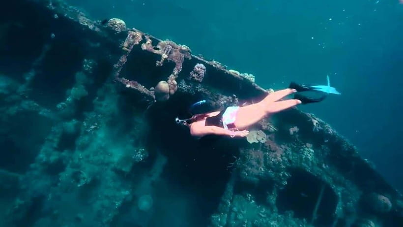 Coron | Super Ultimate Tour - Barracuda Lake and the freshwater contrast
