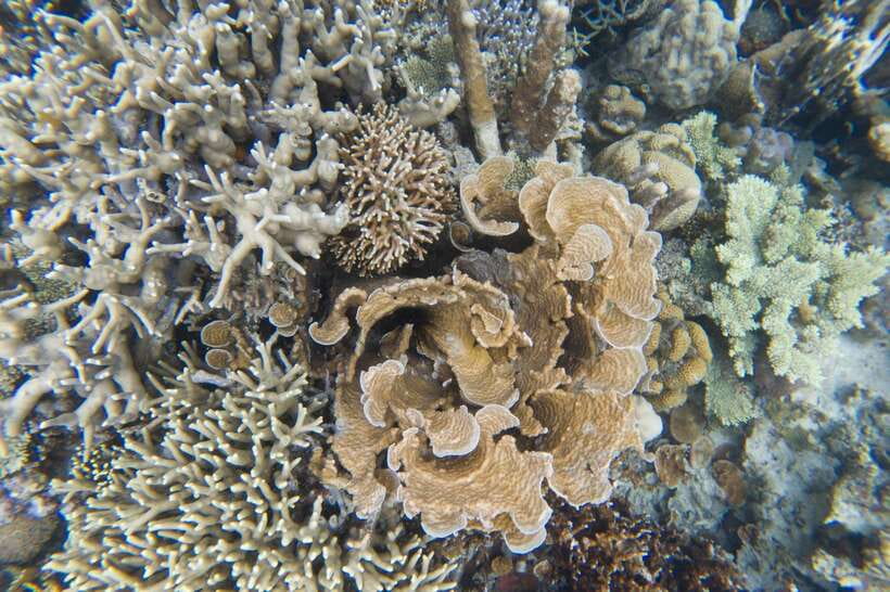 Coron Tour A: Kayangan Lake & Quin Reef Tour with Lunch - Timing, crowds, and the pace of the day