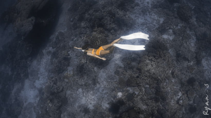 Discover Freediving in Boracay - Price and value at $57 per person