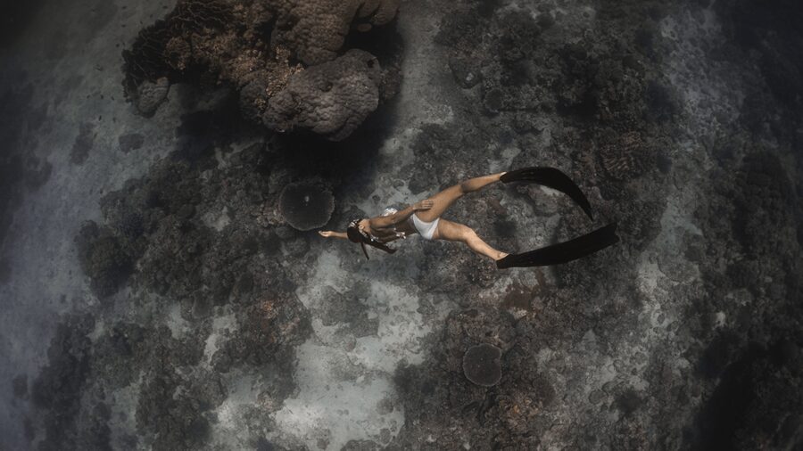 Discover Freediving in Boracay - Who should book this session