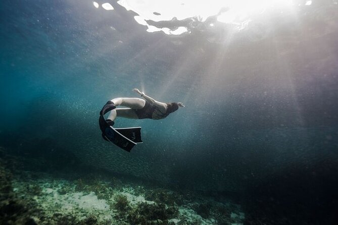 Discover Freediving One Amazing Day - Moving from practice to Panglao’s reef