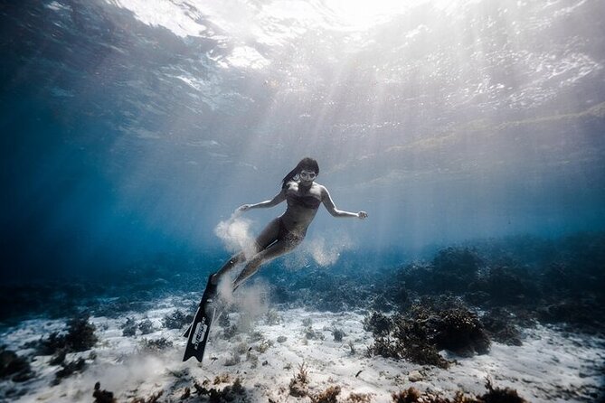 Discover Freediving One Amazing Day - Equipment, certification, and what the price covers