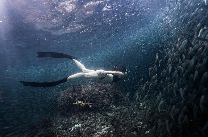 Discover Freediving One Amazing Day - Who will enjoy this most
