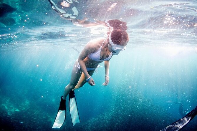 Discover Freediving One Amazing Day - Small groups change the feel