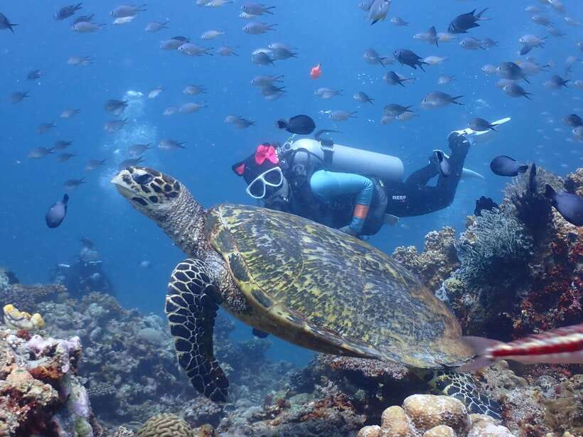 Discover Scuba Diving in Boracay - Your first underwater lesson in Boracay