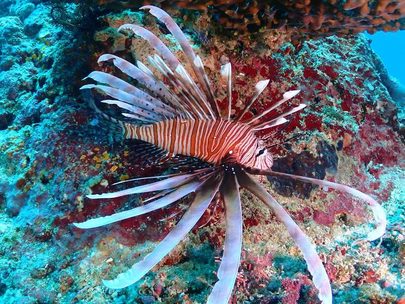 Discover Scuba Diving in Boracay - Meeting at White Beach and getting ready