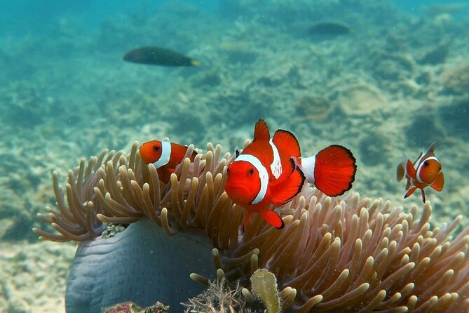 Discover Scuba diving in El Nido - What lunch and the equipment add to the price