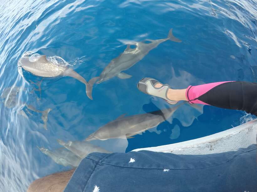 Dumaguete: Dolphin Watching & Manjuyod Sandbar Private Tour - A 6 AM start from Dumaguete