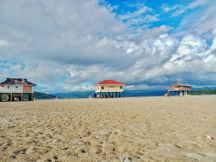 Dumaguete: Dolphin Watching & Manjuyod Sandbar Private Tour - Who will enjoy this day most