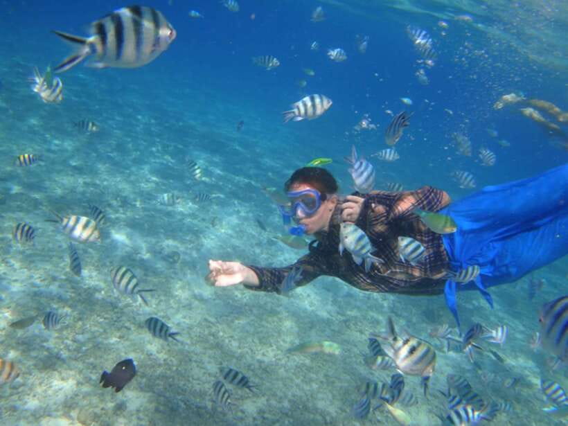 El Nido: Island Hopping Tour A Lagoons and Beaches - Shimizu Island: clear water and a proper beach break