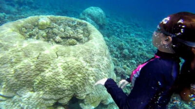 Island Hopping Tour B Cudognong Cave & More