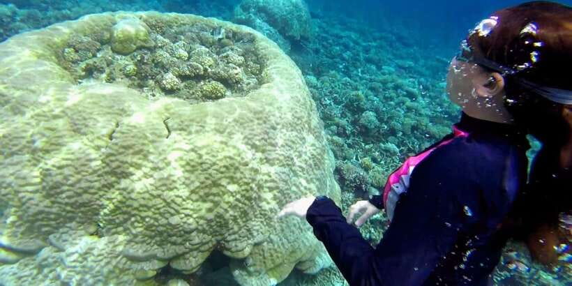 El Nido: Island Hopping Tour B Cudognong Cave & More - Weather, tides, and what to pack