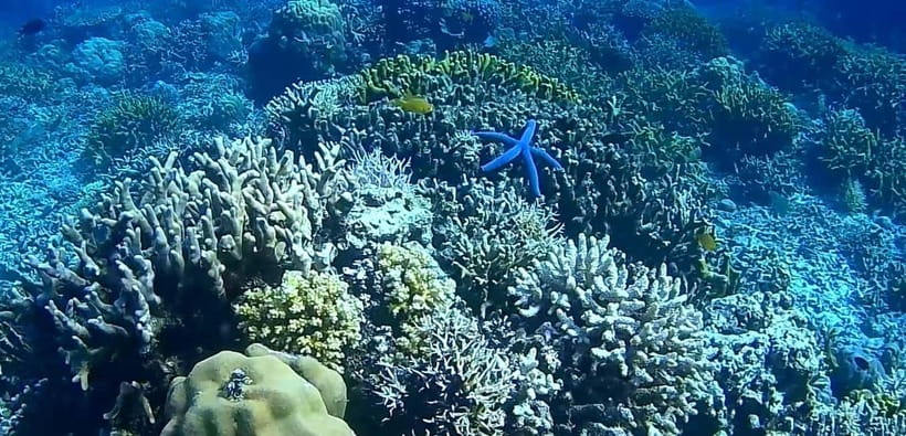 El Nido, Sibaltan: Private Snorkeling & Secret Islands Tour - The practical drawbacks you should weigh