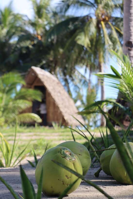 El Nido to Coron: 3-Day 2-Night Island-Hopping Expedition - The food and crew make the price easier to justify