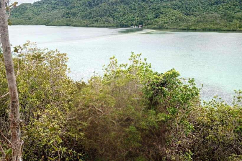 El Nido: Tour B with Snake Island, Cudugnon Cave, and More - Why Tour B offers more than a standard beach day