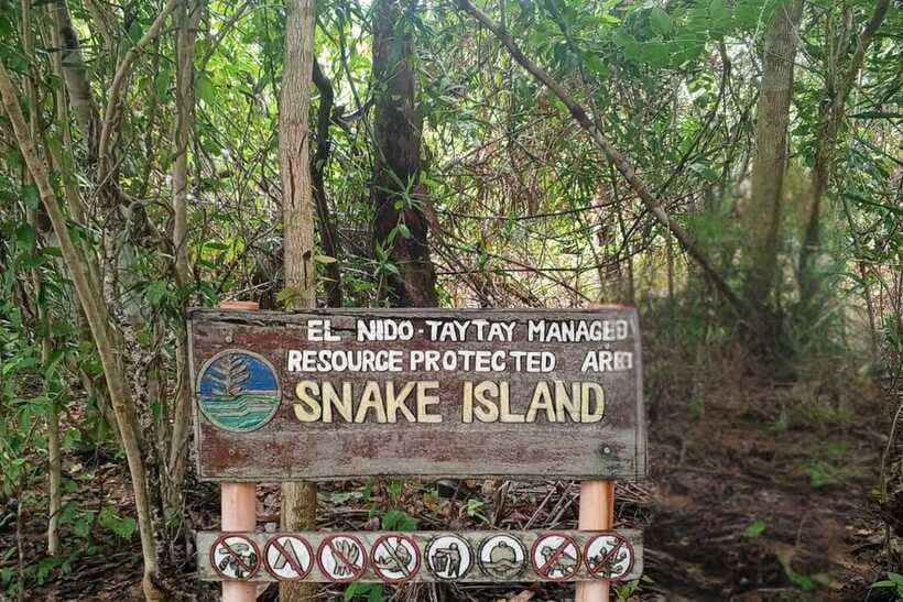 El Nido: Tour B with Snake Island, Cudugnon Cave, and More - Entalula Island and the final beach stop