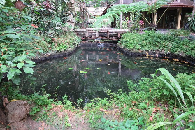 Escape to Enchanting Hidden Valley Springs! with Transfers*** - Filipino lunch included in the day