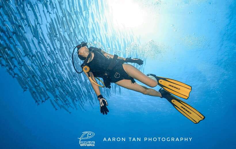 Fisheye Divers: Discover Scuba Diving - Why the shallow-water practice matters
