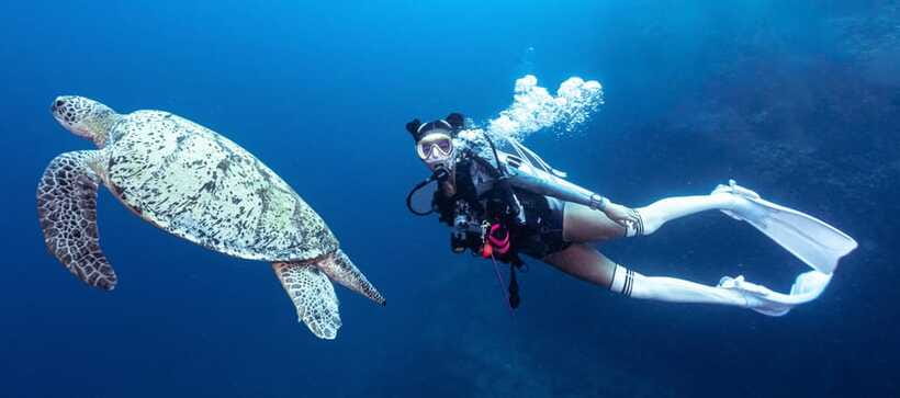 Fisheye Divers: Discover Scuba Diving - Equipment, comfort, and the useful extras