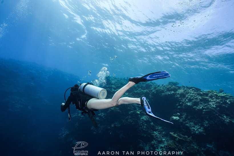 Fisheye Divers: Discover Scuba Diving - Choosing among the four start times