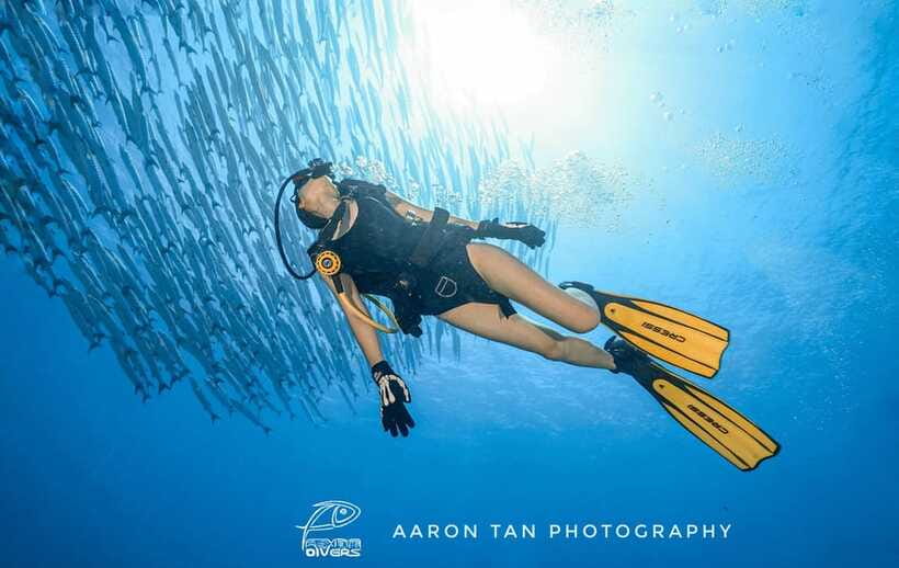 Fisheye Divers: Discover Scuba Diving - Booking details that need a careful check